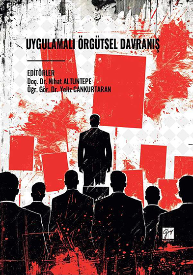 Yayınlanan kitap kapağı
